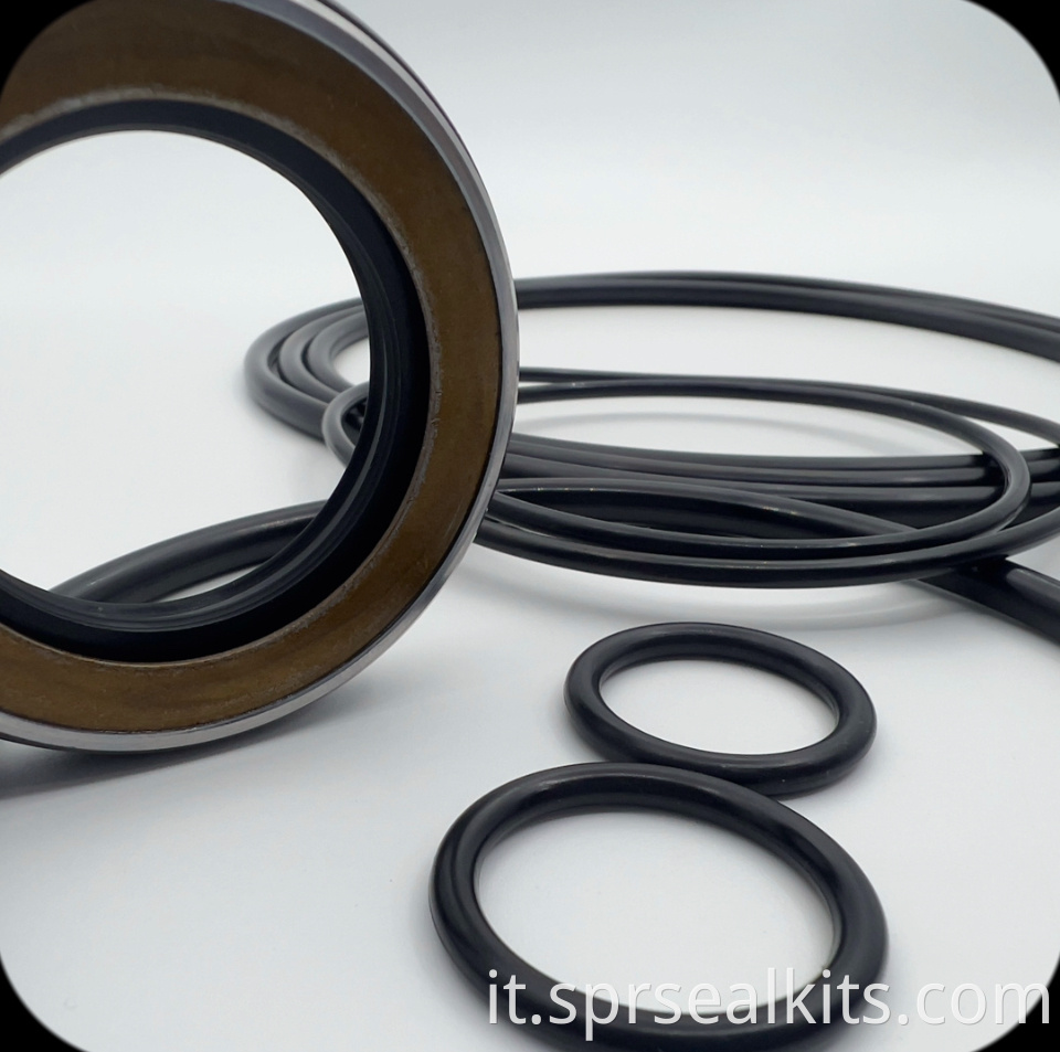 66 Swing Motor Seal Repair Kit